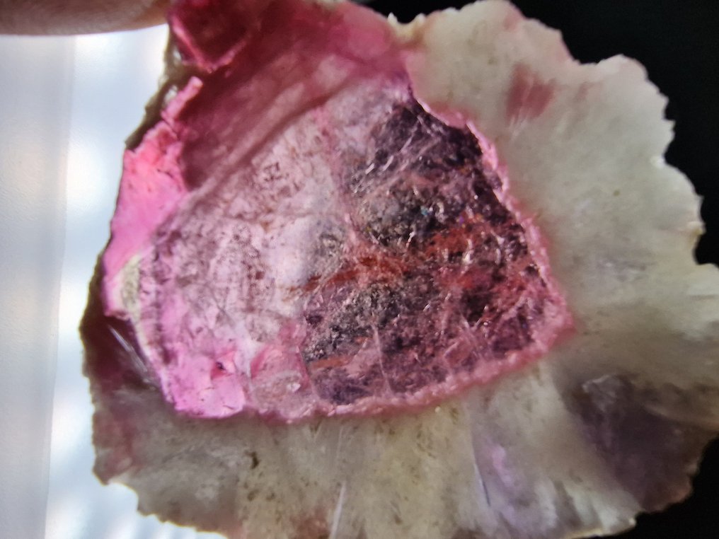 Τουρμαλίνης Liddicoatite κορυφή - Ύψος: 47 mm - Πλάτος: 38 mm- 7.2 g - (1) #4.3