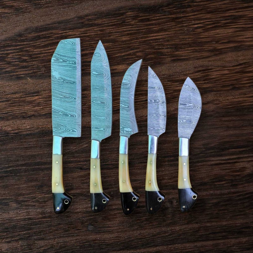 厨刀 - Kitchen knife set - 钢, 角, 木 - 未知 #1.0