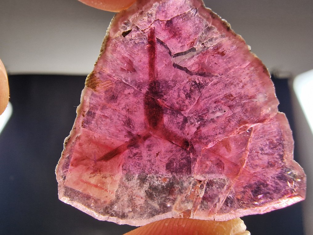 Tourmaline Liddicoatite Top - Height: 43 mm - Width: 40 mm- 14.3 g - (1) #3.2