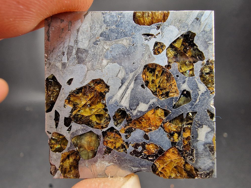 Meteorite Seymchan Fetta - Altezza: 32 mm - Larghezza: 32 mm- 15 g - (1) #2.1