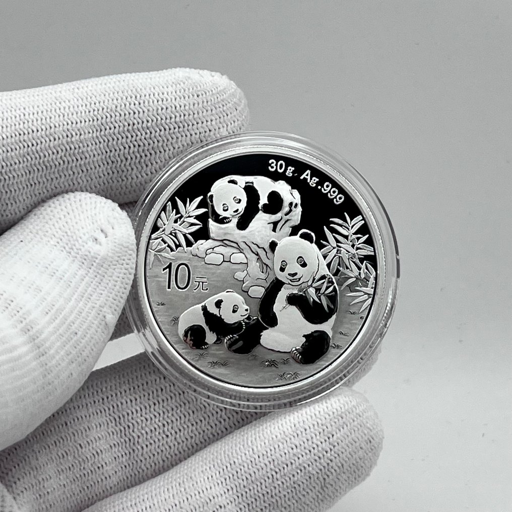 China. 10 Yuan 2025 – Panda – 30 g Silver .999 – BU – China Gold Coin Incorporation – Official Issue (No Reserve Price) #1.0