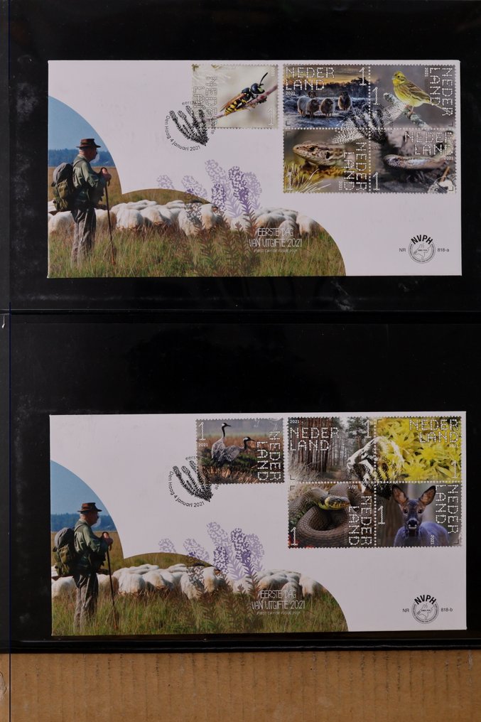 Netherlands 2021 - FDC's Collection - Free worldwide shipping* - NVPH 818a - 826 #1.0