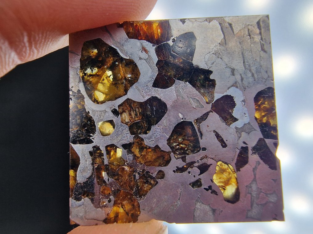 Meteorite Seymchan Fetta - Altezza: 32 mm - Larghezza: 32 mm- 15 g - (1) #1.0