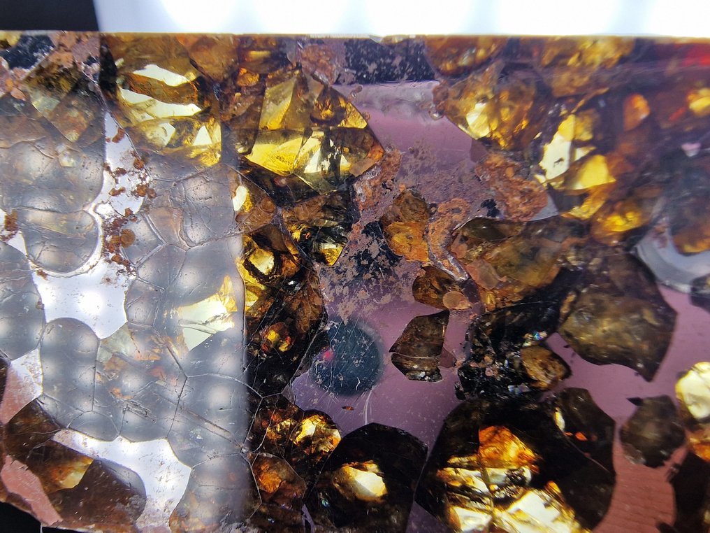 Meteorite Seymchan Fetta - Altezza: 52 mm - Larghezza: 30 mm- 13.6 g - (1) #1.0