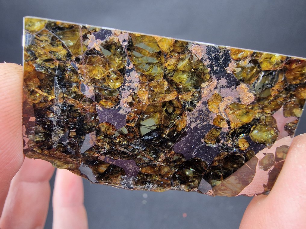 Meteorite Seymchan Fetta - Altezza: 52 mm - Larghezza: 30 mm- 13.6 g - (1) #4.3