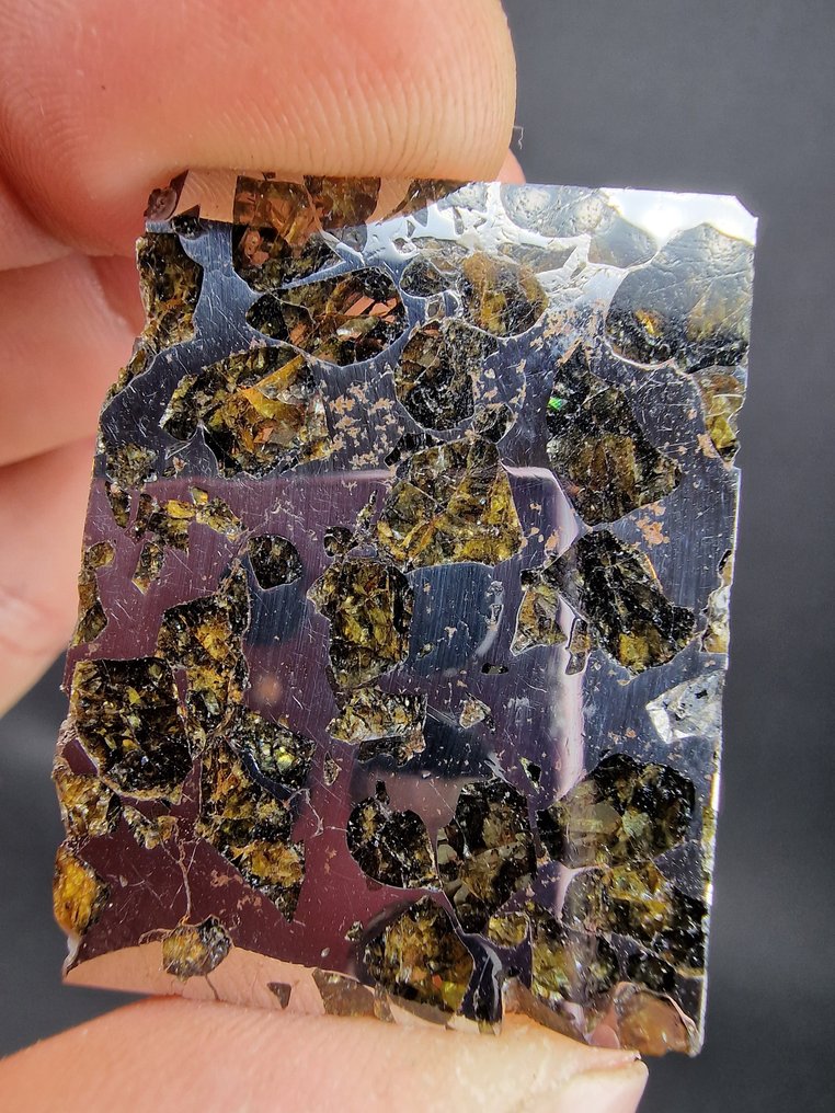 赛姆臣陨石 切片 - 高度: 40 mm - 宽度: 30 mm- 10.8 g - (1) #3.2