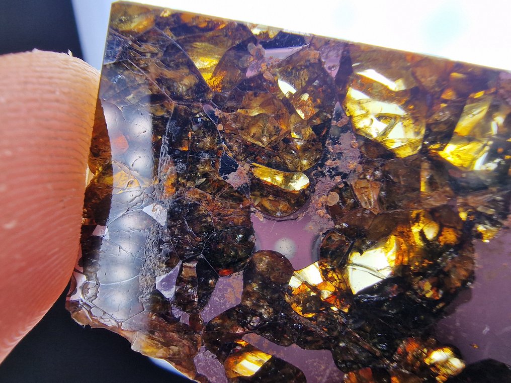 Meteorite Seymchan Fetta - Altezza: 52 mm - Larghezza: 30 mm- 13.6 g - (1) #2.1