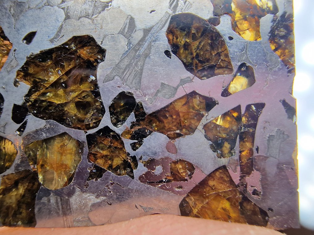 Meteorite Seymchan Fetta - Altezza: 32 mm - Larghezza: 32 mm- 15 g - (1) #3.2