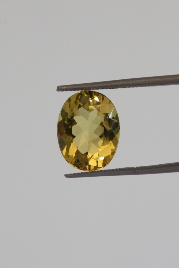 1 pcs  绿色, 黄色 黄色绿宝石（金绿柱石）  - 3.90 ct - 西班牙宝石学院（IGE） - Dorado #1.0
