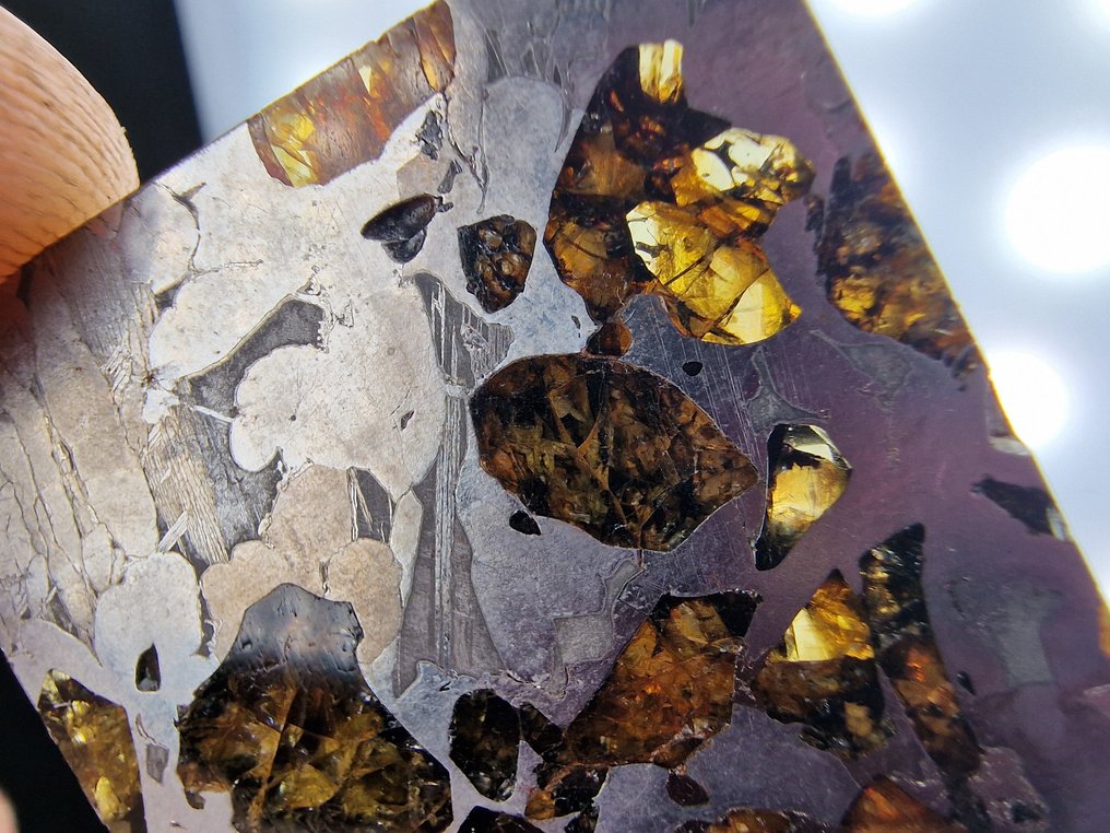 Meteorite Seymchan Fetta - Altezza: 32 mm - Larghezza: 32 mm- 15 g - (1) #1.0