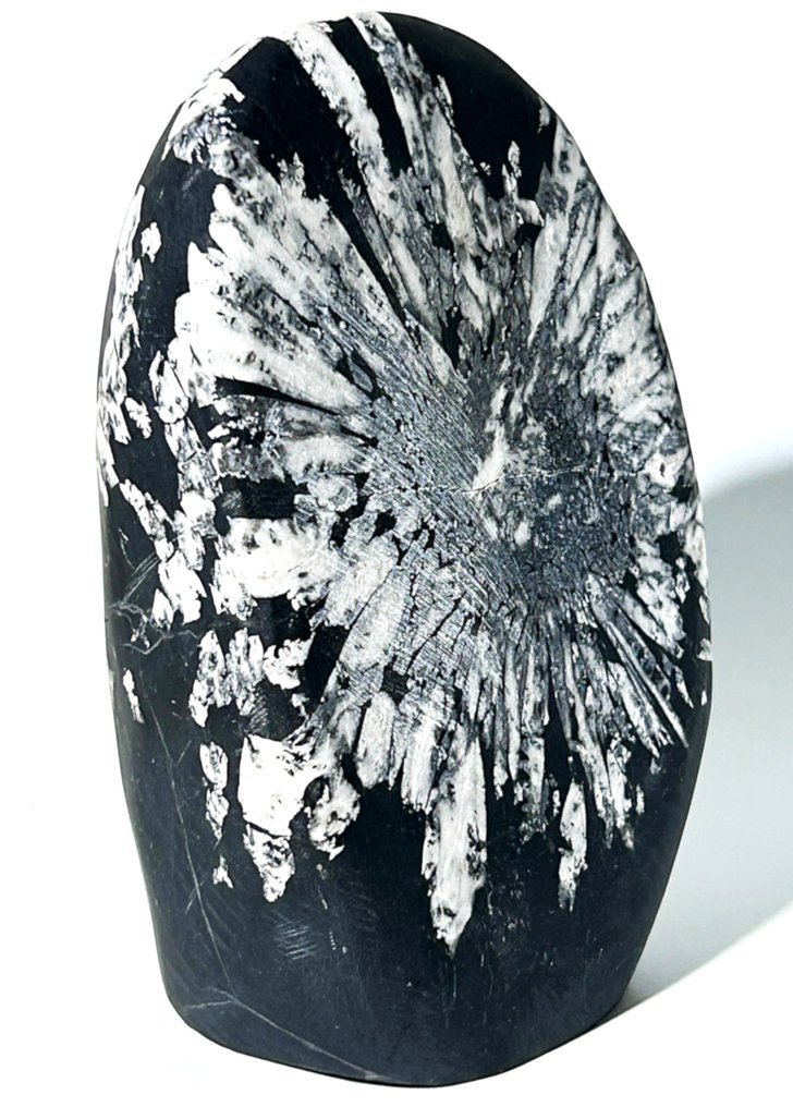 Unique Chrysanthemum Stone Natural Work of Art - Height: 125 mm - Width: 87 mm- 1020 g - (1) #1.0