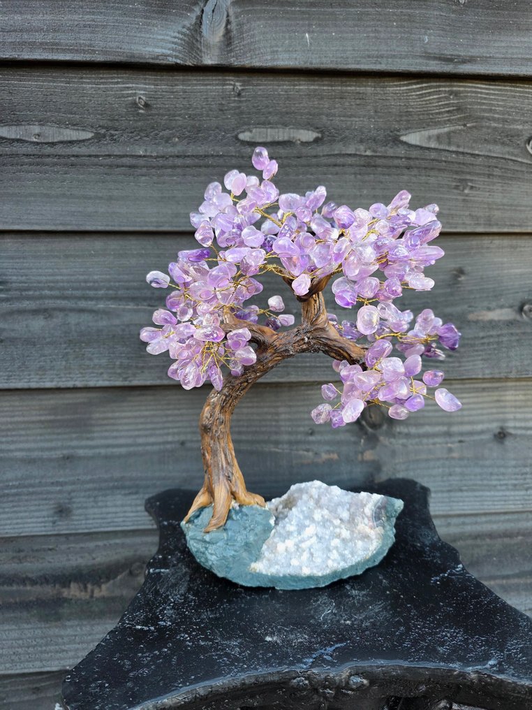Amethyst Bonsai Tree Tumbled - Height: 34 cm - Width: 25 cm- 2322 g #1.0