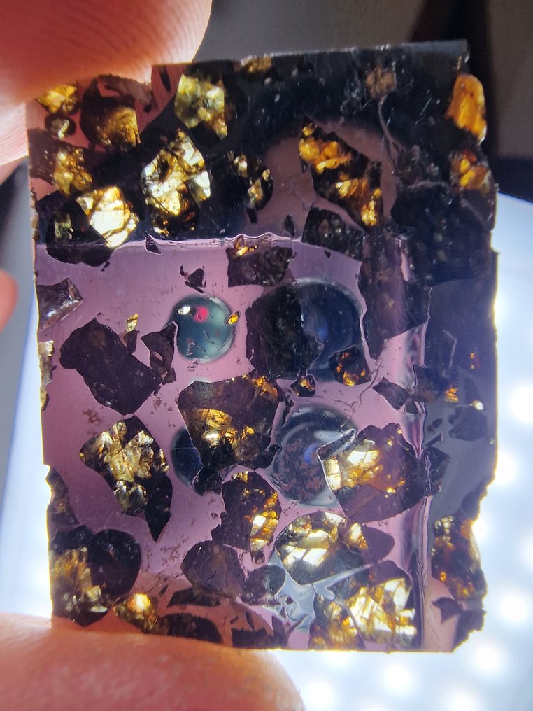 赛姆臣陨石 切片 - 高度: 40 mm - 宽度: 30 mm- 10.8 g - (1) #2.1