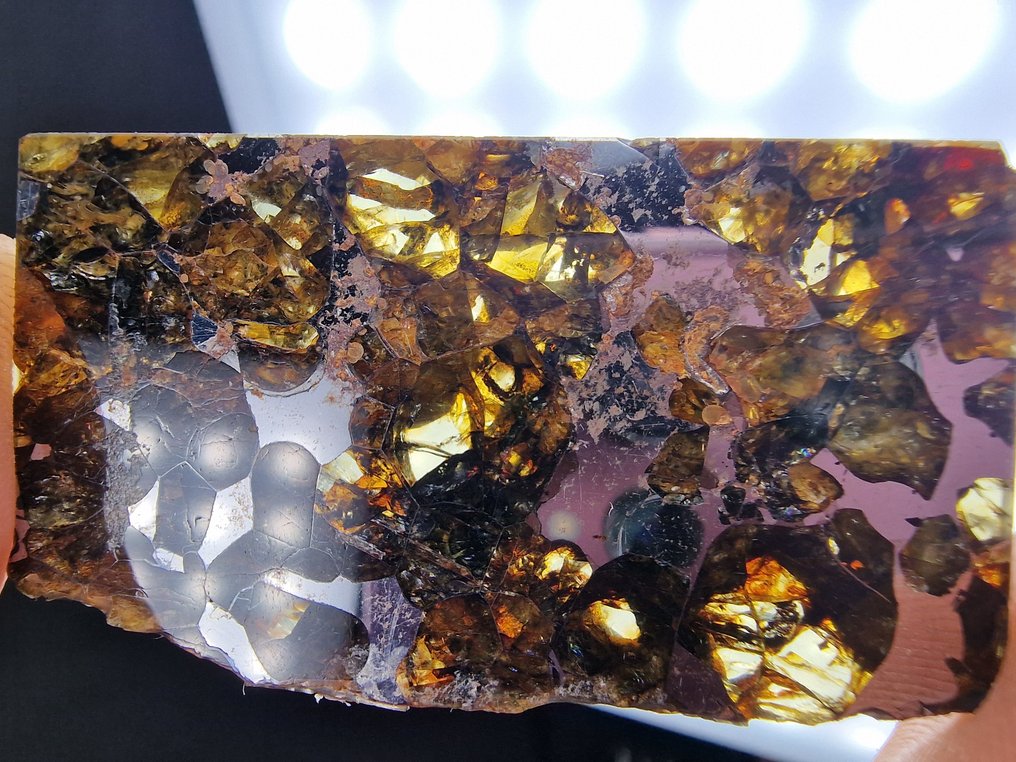 Meteorite Seymchan Fetta - Altezza: 52 mm - Larghezza: 30 mm- 13.6 g - (1) #1.0