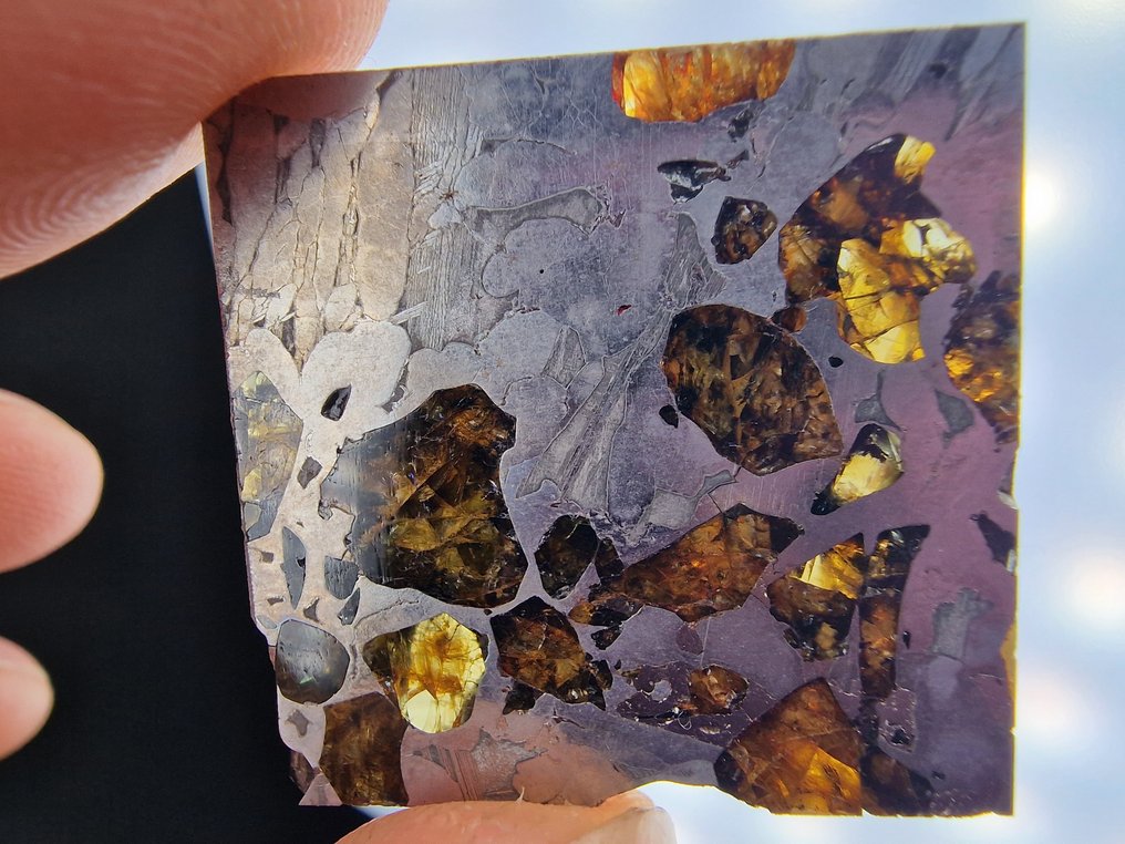 Meteorite Seymchan Fetta - Altezza: 32 mm - Larghezza: 32 mm- 15 g - (1) #4.3