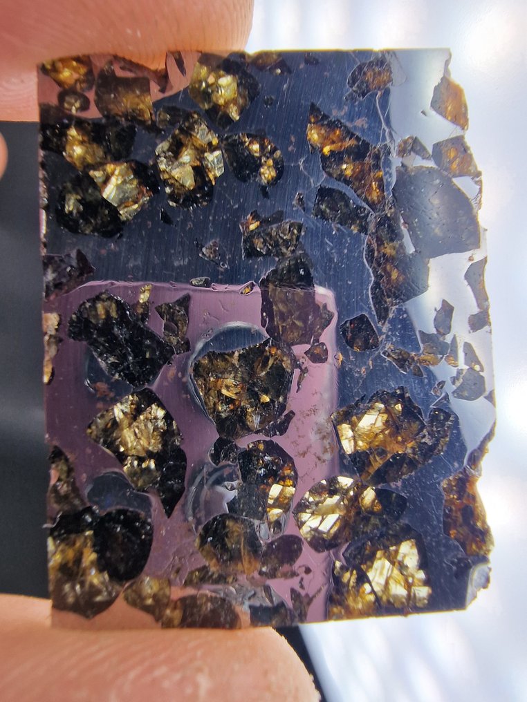 赛姆臣陨石 切片 - 高度: 40 mm - 宽度: 30 mm- 10.8 g - (1) #1.0