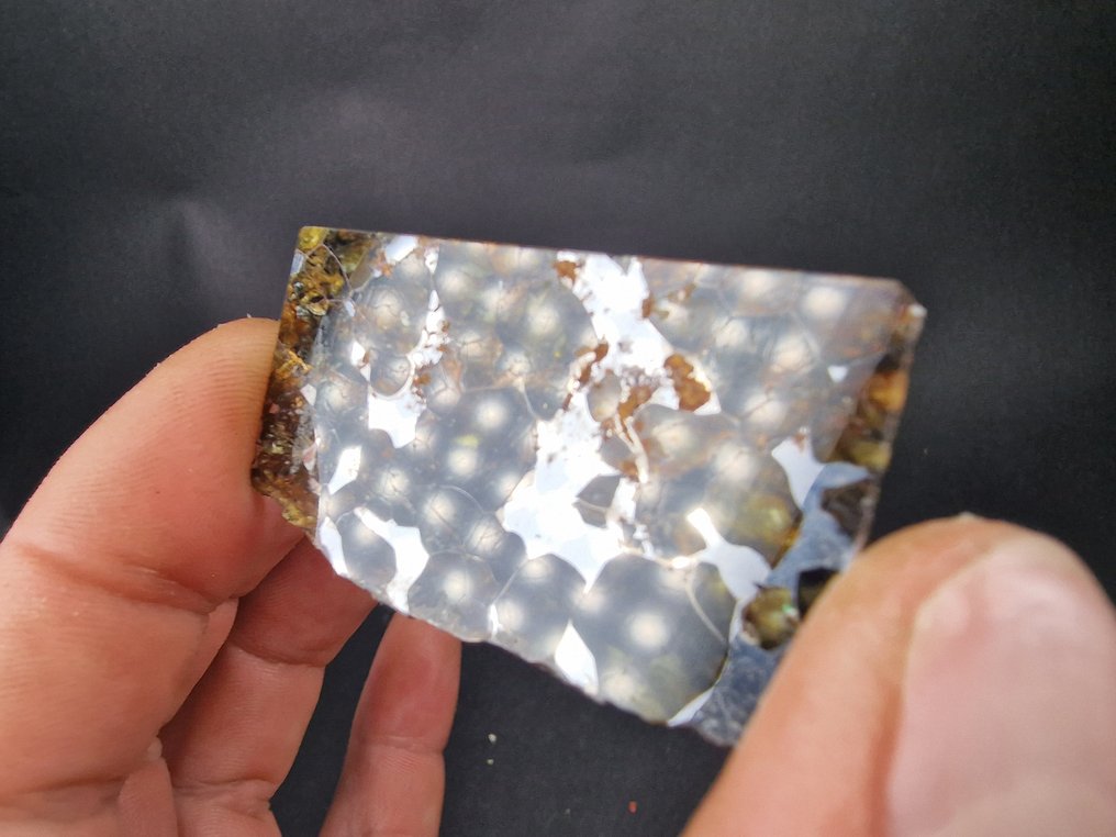 Meteorite Seymchan Fetta - Altezza: 52 mm - Larghezza: 30 mm- 13.6 g - (1) #3.2