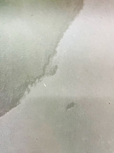 Jessica Geiger - I should...I shouldn't do a Fuck #1.0