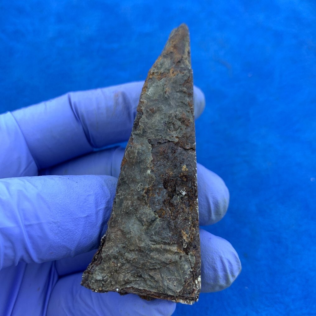 Aletai iron meteorite, 101.8 g, fusion crust, cut end Iron meteorite - Height: 75 mm - Width: 30 mm - 101.8 g - (1) #4.3