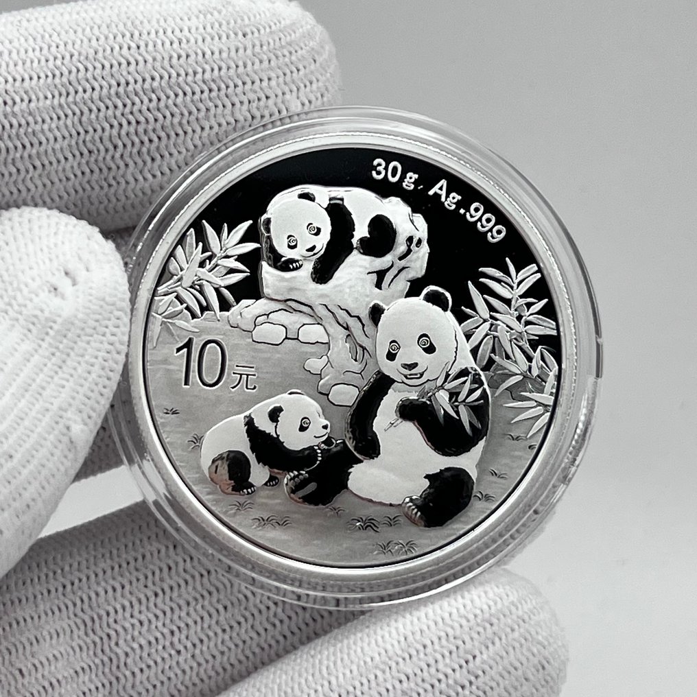 China. 10 Yuan 2025 – Panda – 30 g Silver .999 – BU – China Gold Coin Incorporation – Official Issue (No Reserve Price) #1.0