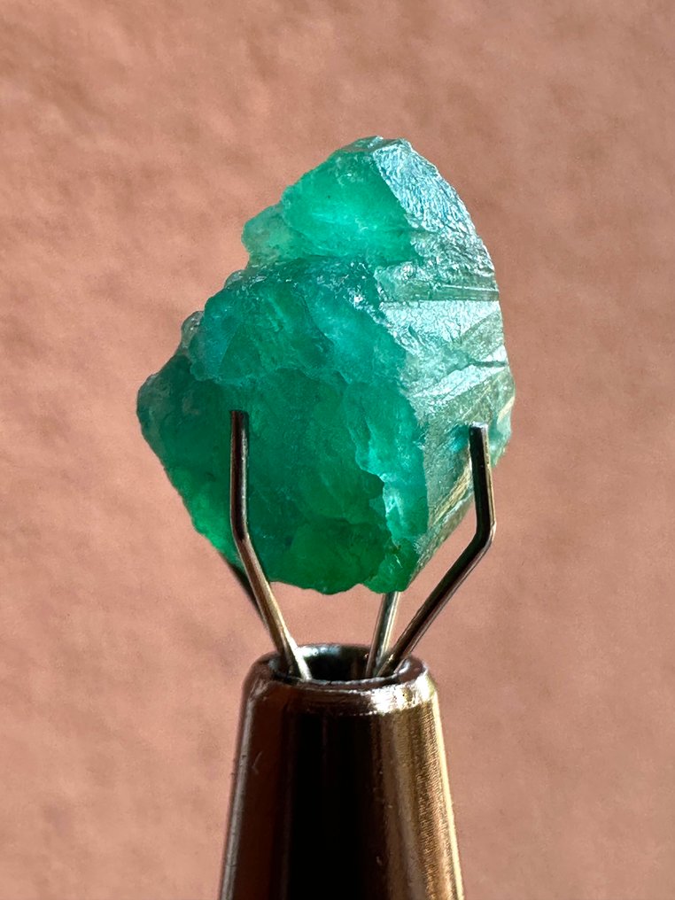 祖母绿 未切割。5、10克拉顶级绿色惊艳的祖母绿水晶。百分百切面等级！ - 高度: 12 mm - 宽度: 9 mm- 1.02 g #1.0