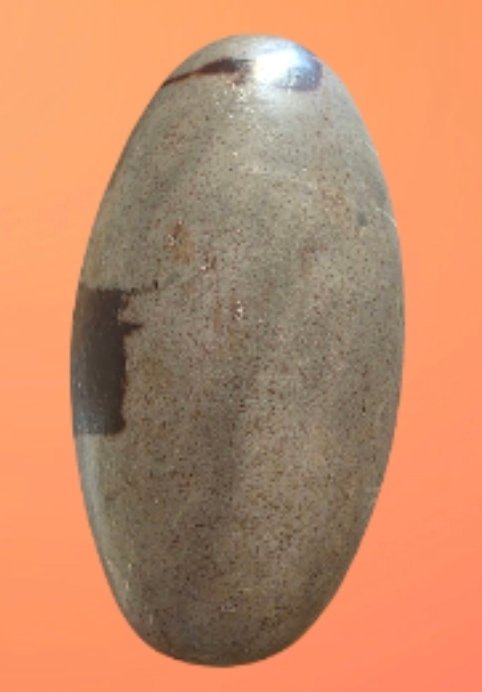 Shiva Lingam ωοειδές - Ύψος: 150 mm - Πλάτος: 81.5 mm- 1366 g #1.0