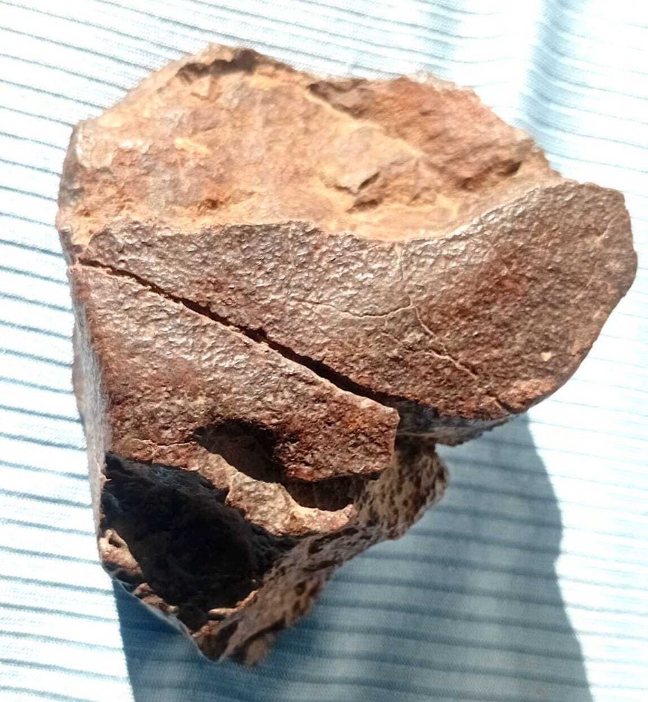 Chondriet Chondrite meteoriet - 315 g - (1) #1.0