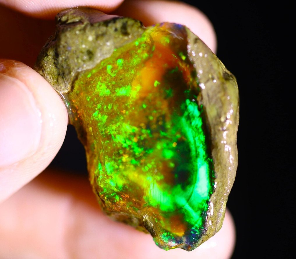 55.9 cts - Top Colors - Crystal Opal - Rough - See Video!- 11.18 g #1.0