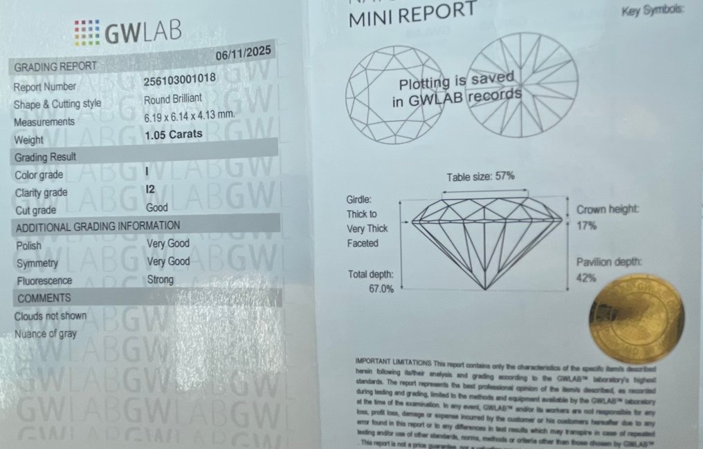 Sem preço de reserva - 1 pcs Diamante (Natural) - 1.05 ct - Redondo - I - I2 - Gemewizard Gemological Laboratory (GWLab) #2.1
