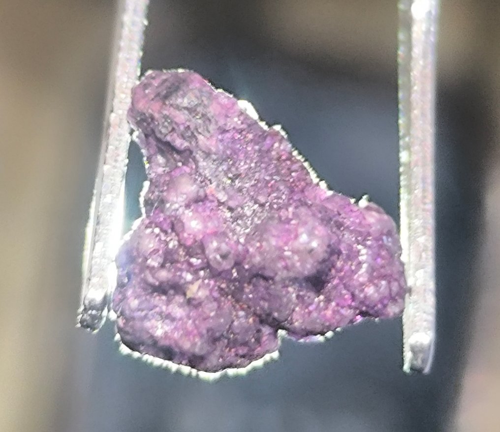 无底价壮丽的2.07克拉紫色未切割钻石晶体,来自非洲 . - 高度: 6.5 mm - 宽度: 6.1 mm- 0.41 g - (1) #4.3