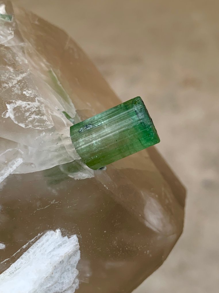 Tourmaline Specimen - Height: 110 mm - Width: 100 mm- 727 g - (1) #4.3