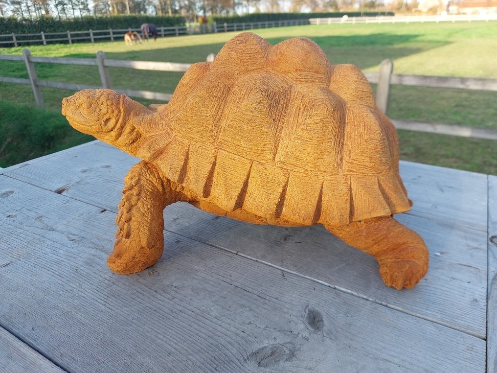 Statue, large turtle - 25 cm - polyresin #3.2