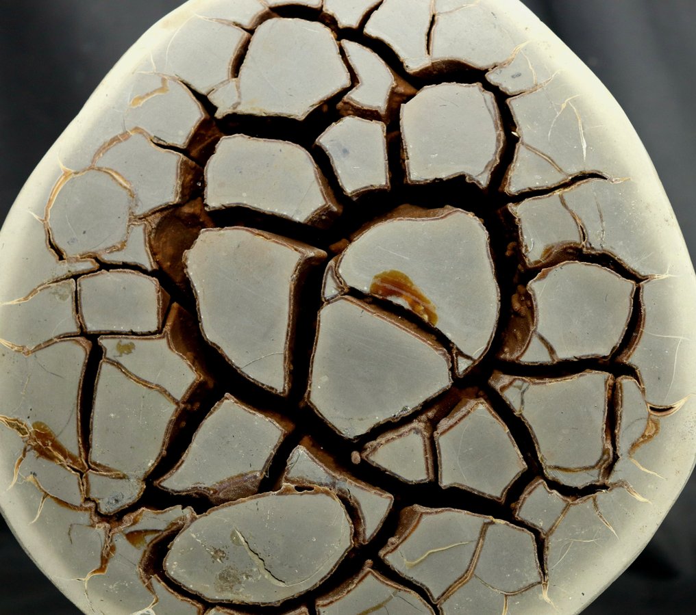 Large Septarian nodule on stand Egg - Height: 31 cm - Width: 30 cm- 8.5 kg #2.1