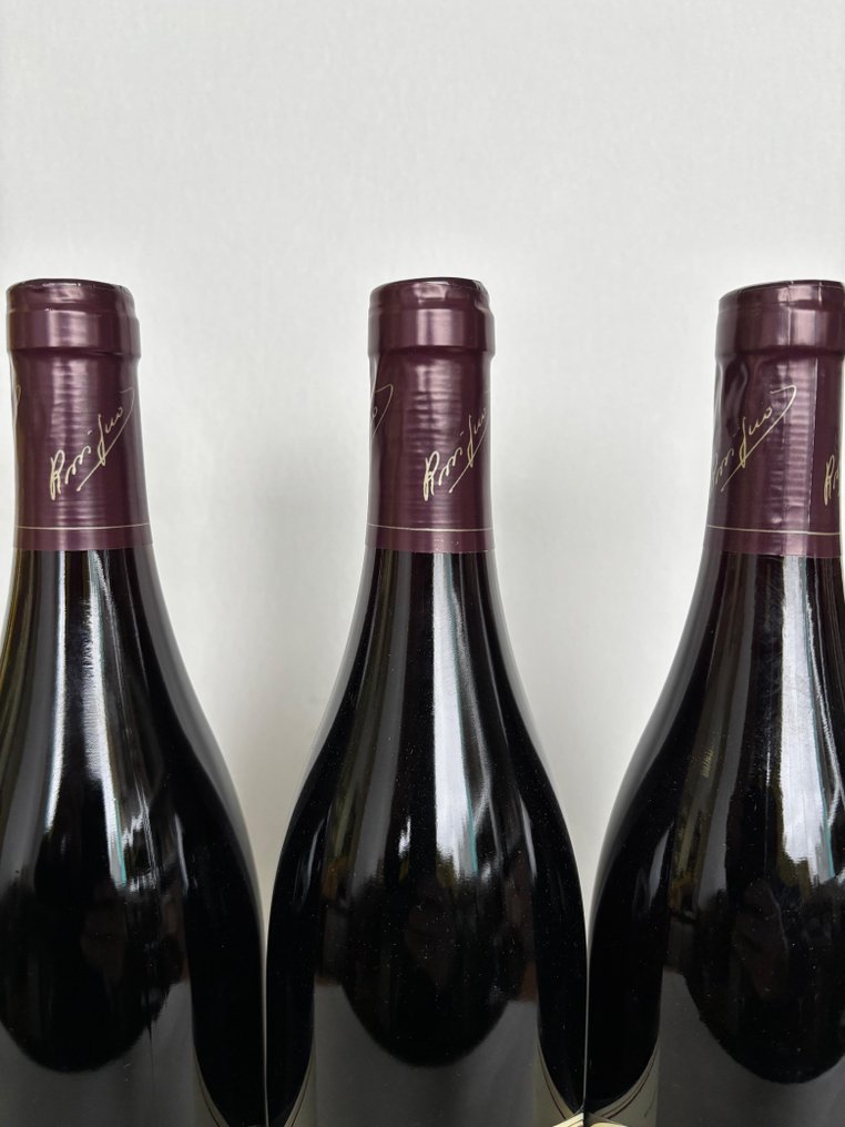 2020 Domaine Rossignol-Trapet - Bourgogne - 3 Pullot (0.7 L) #2.1