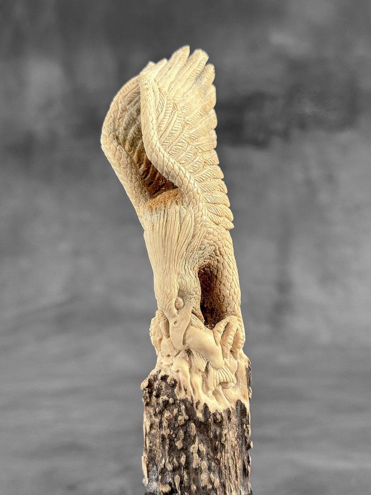 Schnitzerei, NO RESERVE PRICE -Stunning eagle carving from deer antler on a custom stand - 20 cm - Hirschgeweih - 2025 #1.0