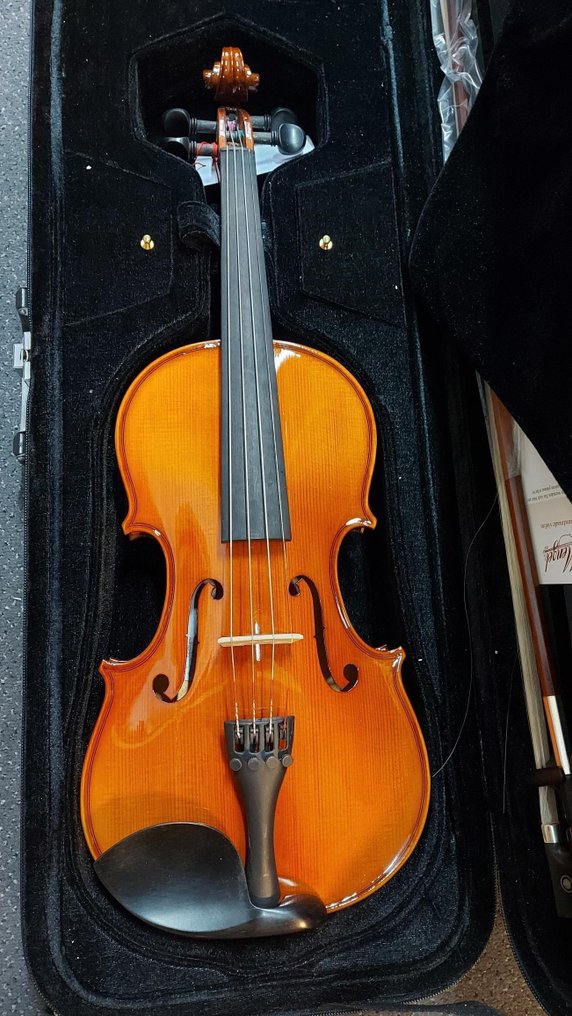 Menzel - VL702-serie Vioolset 4/4 Gold -  - Βιολί #1.0