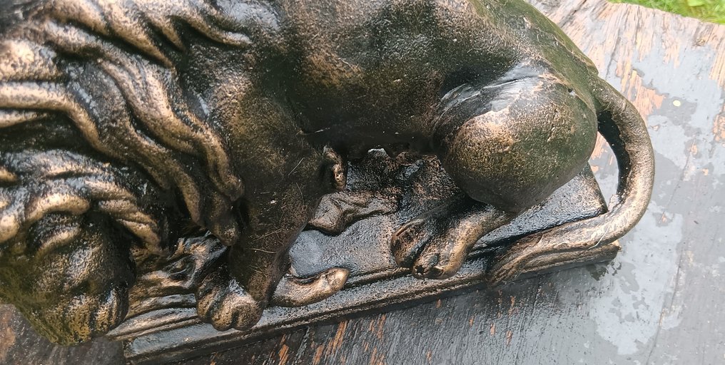Sculpture, robuuste Leeuw met prooi - 18 cm - cast iron - 2024 #2.1