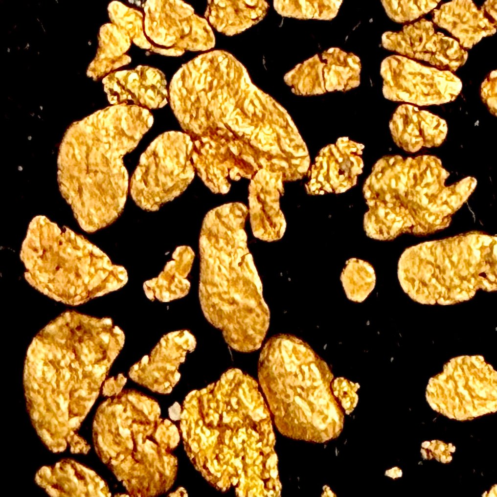 "the golden galaxy" native gold in nuggets- 1.02 g #1.0