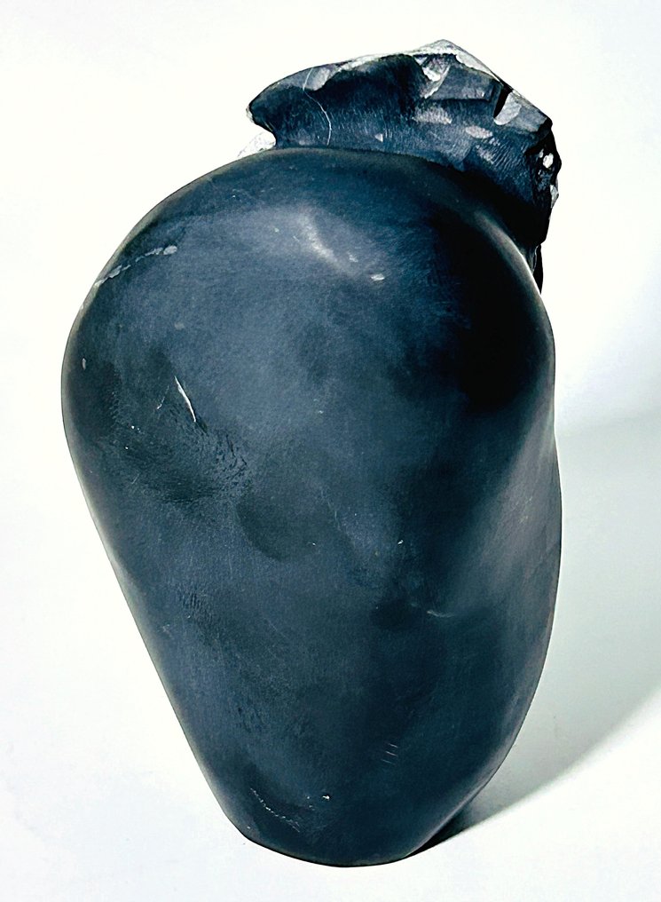 Unique Chrysanthemum Stone - Natural Work of Art Super Rare - Height: 107 mm - Width: 61 mm- 518 g - (1) #3.2