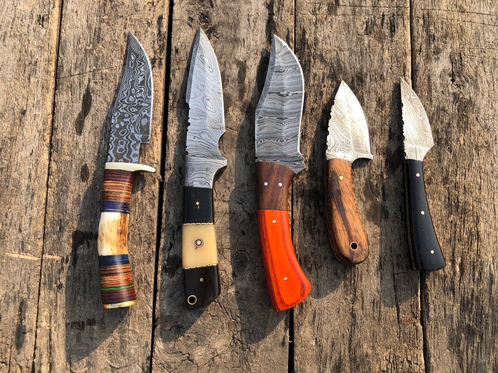 厨刀 - 声望手工Skinners刀，锻钢，鹿角，骨头及稀有手柄 - 北美 - 皮革鞘 A26 #1.0