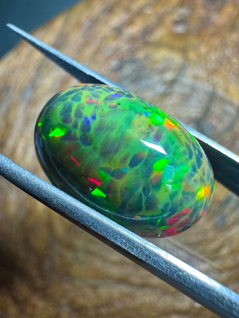 Qualità top! Opale nero d'Etiopia. 16,04 carati. Cabochon ovale - Altezza: 20.2 mm - Larghezza: 13.2 mm- 3.21 g #2.1