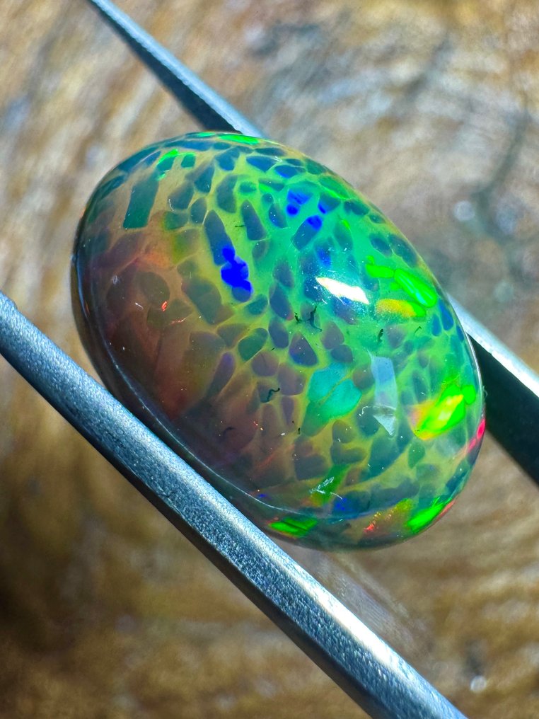 Qualità top! Opale nero d'Etiopia. 16,04 carati. Cabochon ovale - Altezza: 20.2 mm - Larghezza: 13.2 mm- 3.21 g #3.2