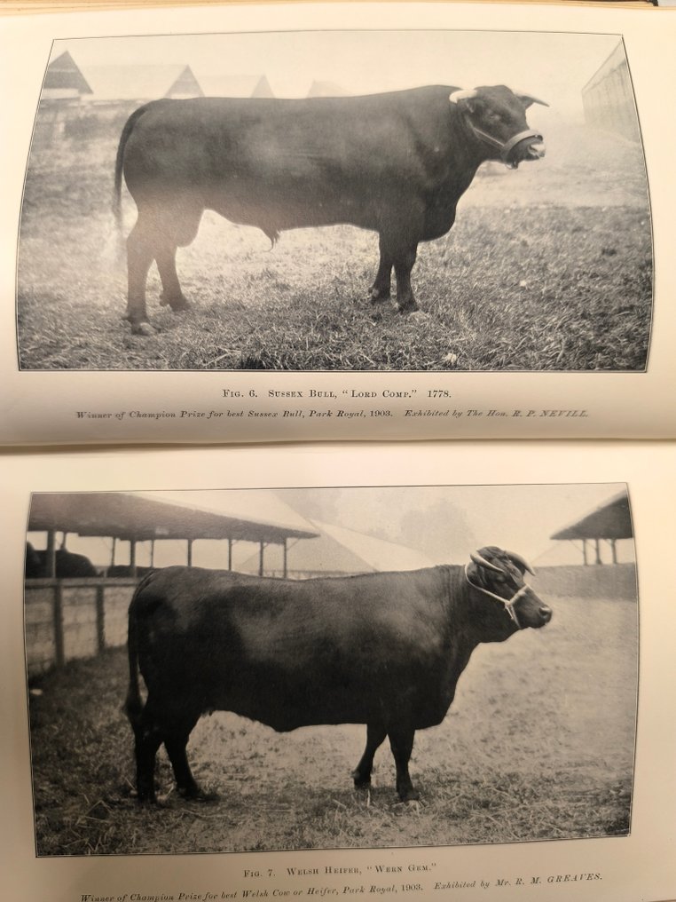 Multiples - Journal of the Royal Agricultural Society of England - 1901-1945 #1.0