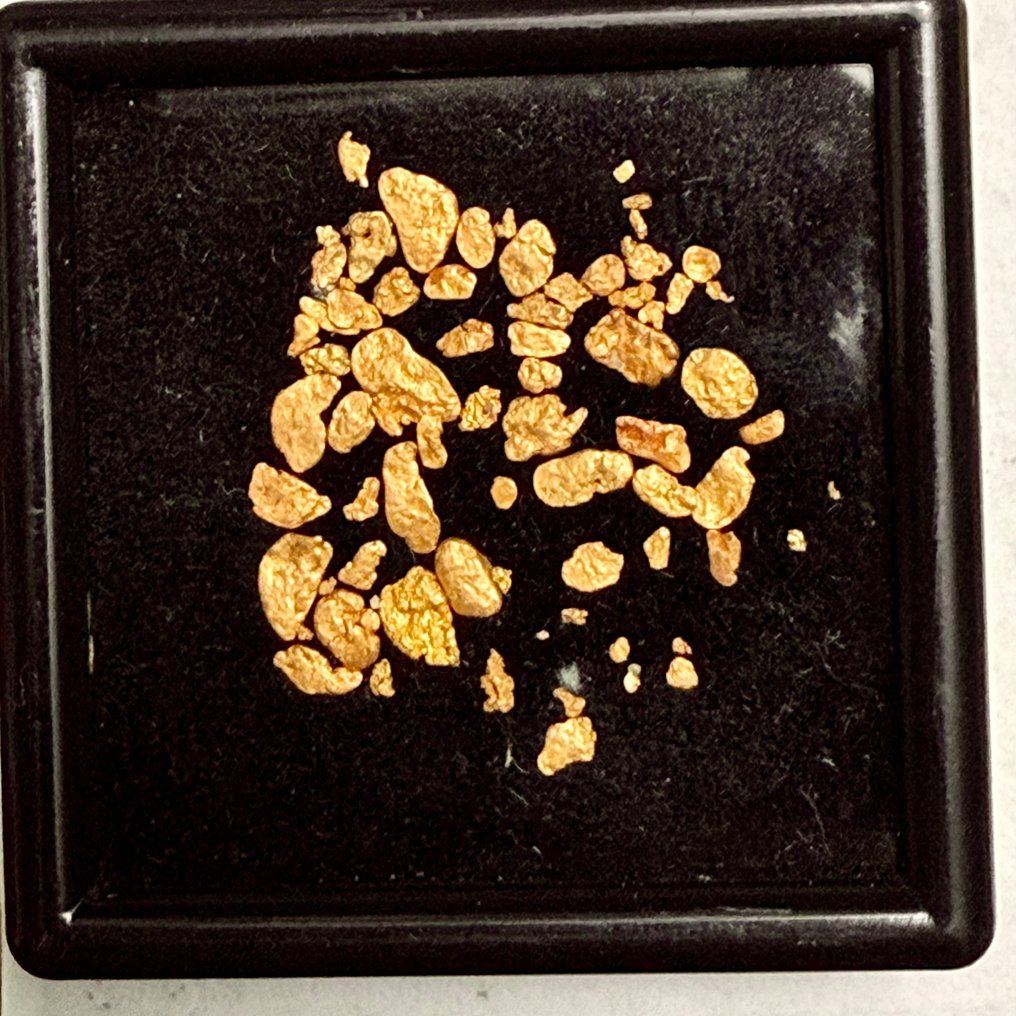 "the golden galaxy" native gold in nuggets- 1.02 g #2.1