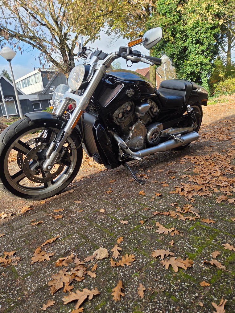 Harley-Davidson - VRSCF - V-Rod - Muscle - 1250 cc - 2014 #2.1