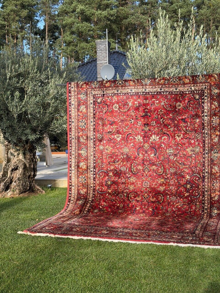 Top XXL Indo Bidjar - Dywan - 370 cm - 250 cm #3.2