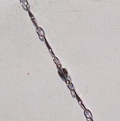 没有保留价 - 项链 白金 #2.1