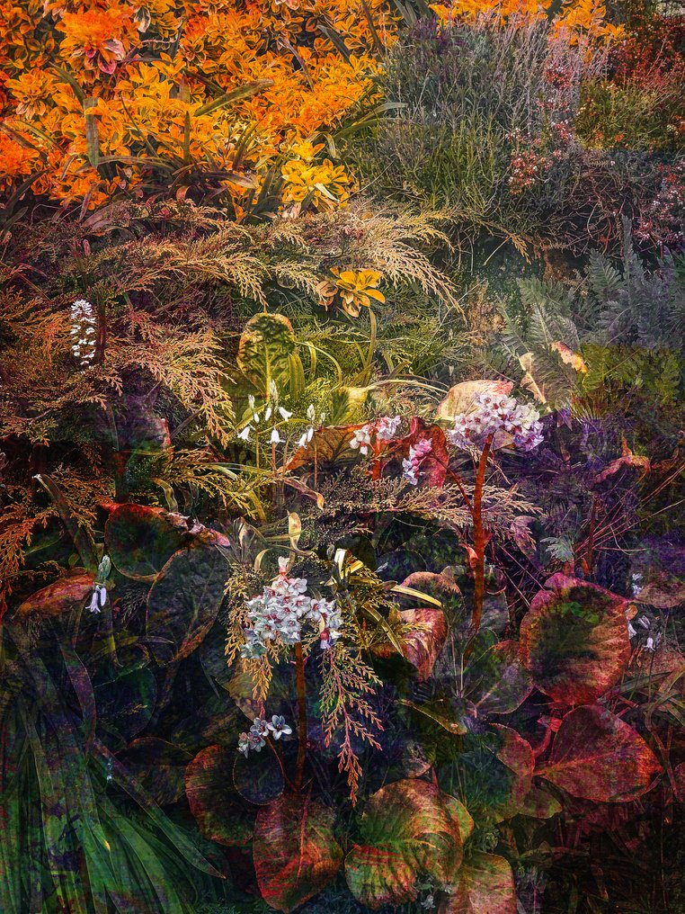 Viet Ha Tran - The painted garden II #1.0