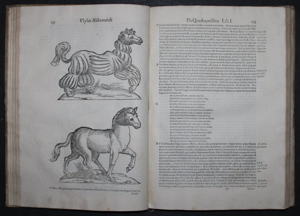 Ulisse Aldrovandi - [Zoology] De quadrupedibus solidipedibus volumen integrum - 1639-1648 #4.3