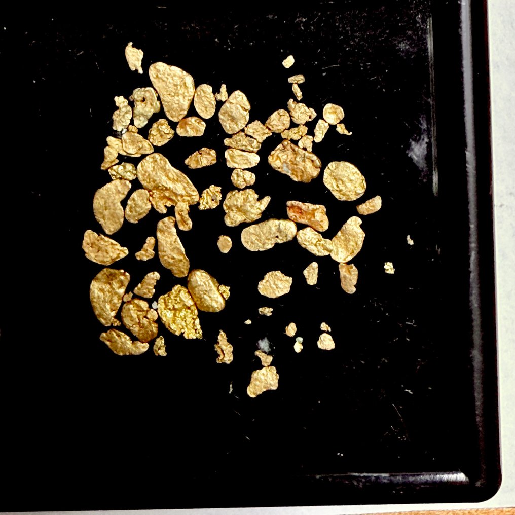 "the golden galaxy" native gold in nuggets- 1.02 g #4.3